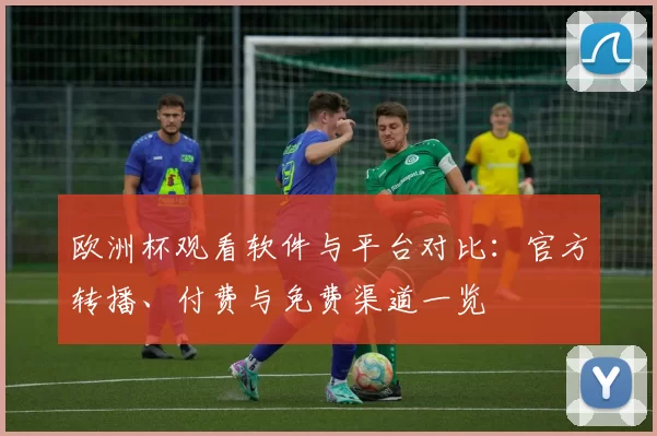 欧洲杯观看软件与平台对比：官方转播、付费与免费渠道一览