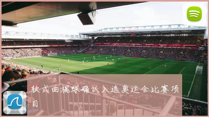 软式曲棍球确认入选奥运会比赛项目